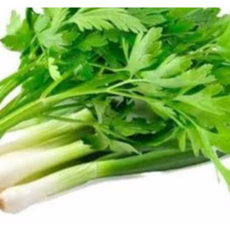 

Daun bawang/ Seledri / Daun Prei Mix Perikat Sayur Online Makassar