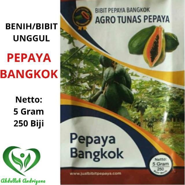 BIBIT PEPAYA BANGKOK AGRO TUNAS 5 Gr/250 Biji Benih PEPAYA BANGKOK Unggulan Tunas Agro