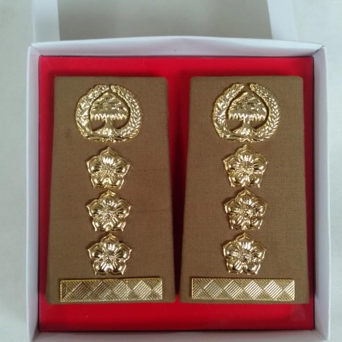 Pns | Pangkat Asn 4A Jawa Timur Fungsional