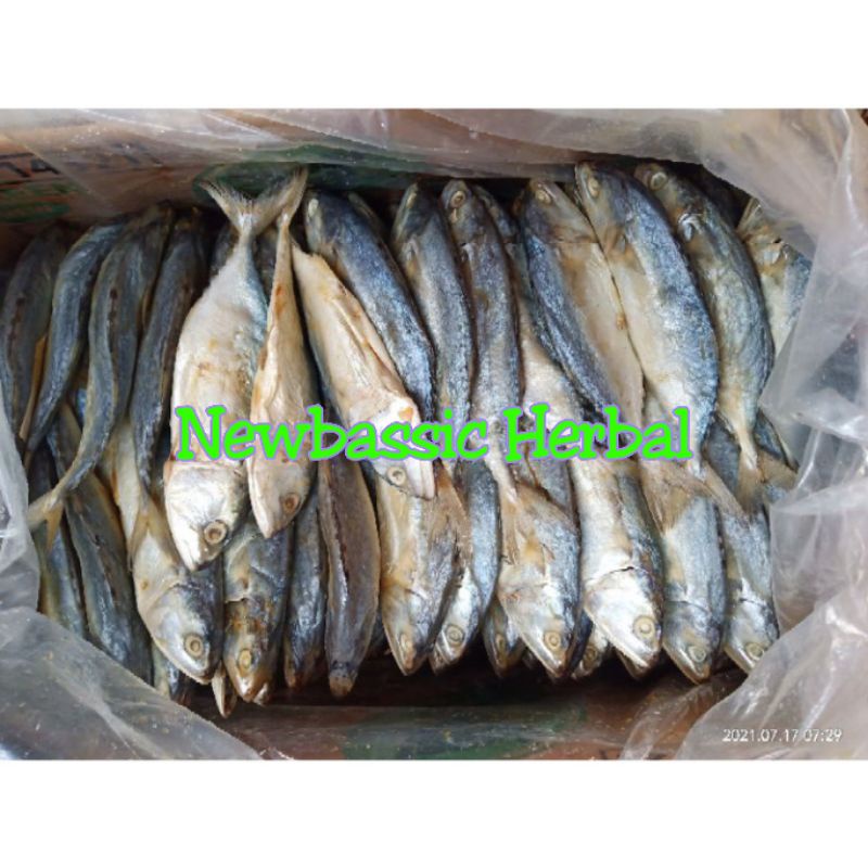 

ikan asin peda lampung paket hemat 500 gram