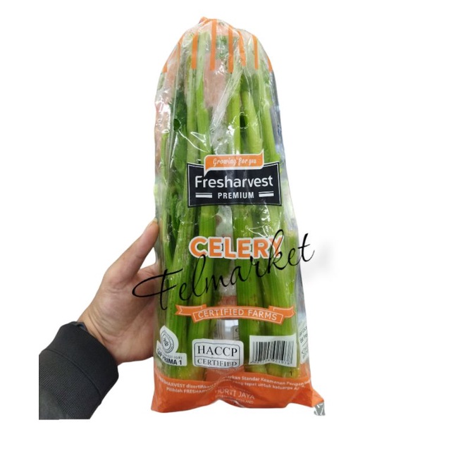 

celery stick lokal fresh | pack