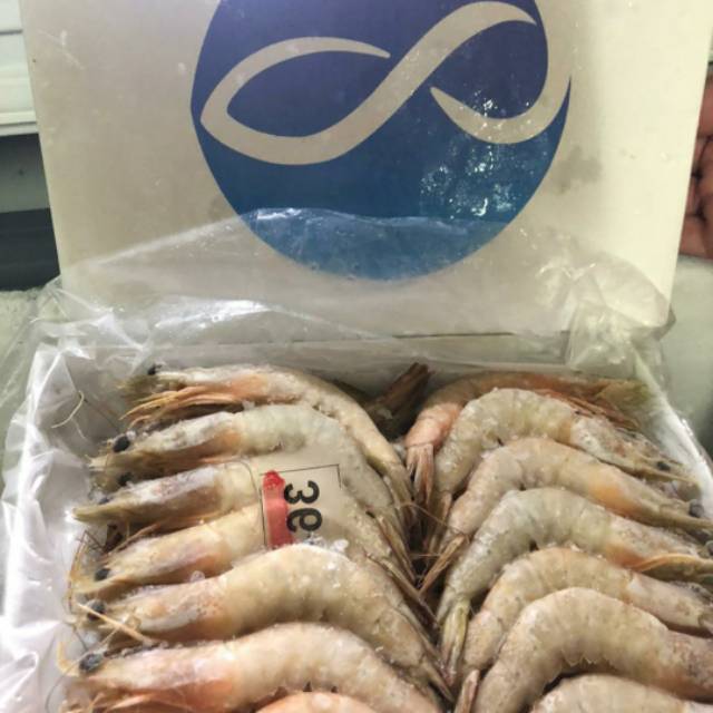 

Udang Banana White Prawn ( Udang Ekspor asal laut Timika Papua)