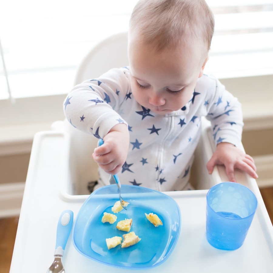 Dr Browns Toddler Plates 3pcs Piring Makan Anak Bayi Warna Warni