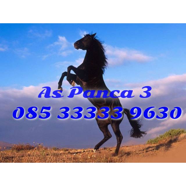 Nomer Cantik Telkomsel AS Panca 3