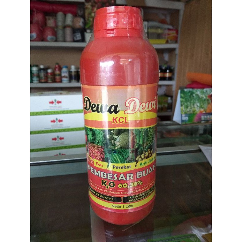 pupuk KCL cair Dewa Dewi 1ltr, pupuk pembesar buah.