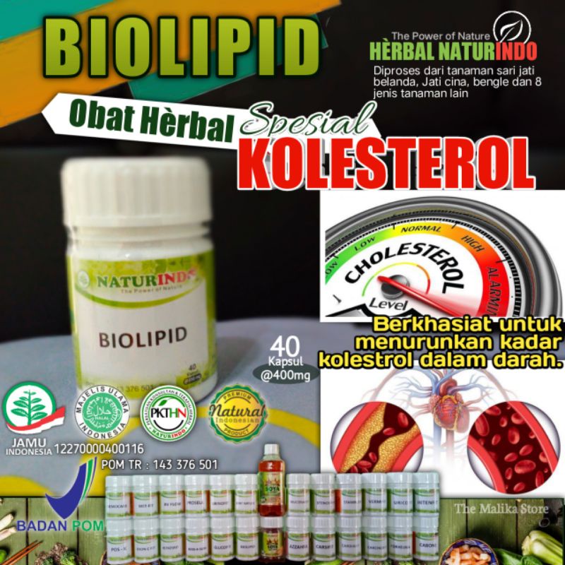 Naturindo Biolipid Obat Herbal Kolesterol