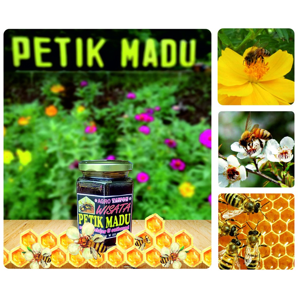 

Madu Multi Flora ukuran tanggung