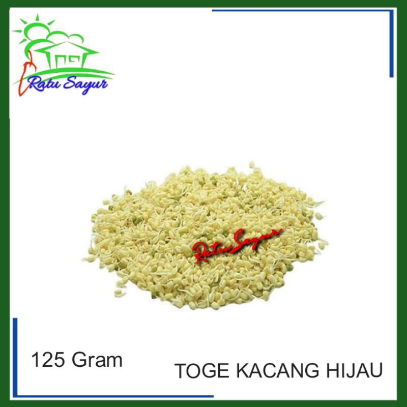 

TOGE KACANG HIJAU/ratusayur.id