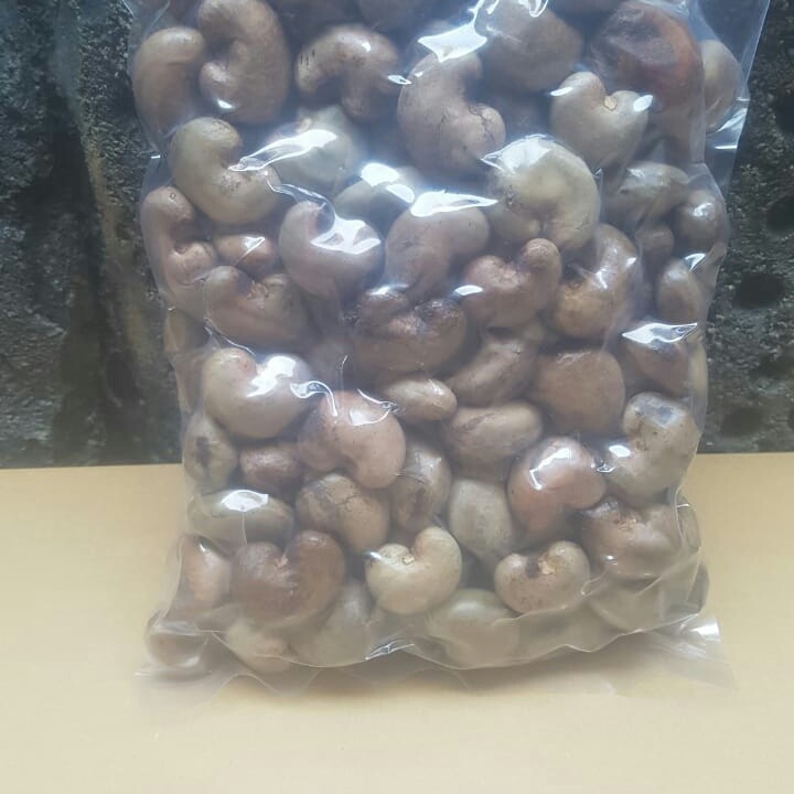 

MENTE MENTAH GELONDONGAN