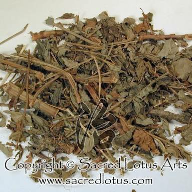 

600 G GR GRAM XIAN HE CAO HERBA AGRIMONIAE HAIRYVEIN AGRIMONIA HERB