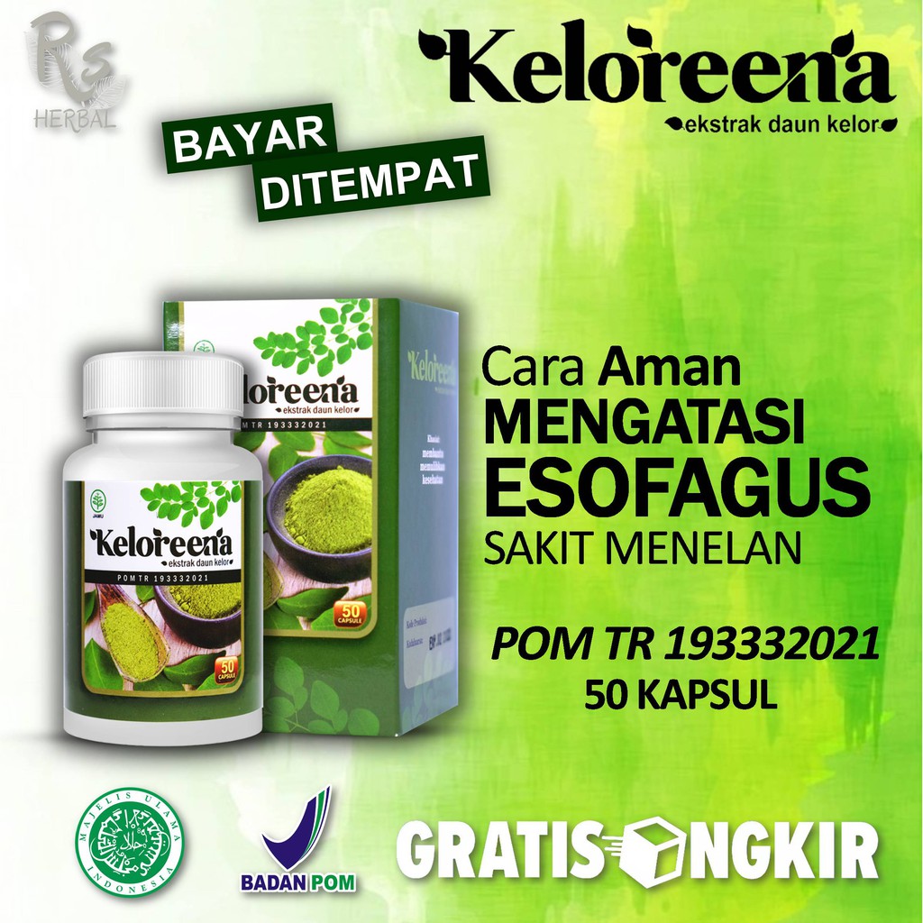 Obat Esofagus,Obat Iritasi Esofagus,Obat Sakit Menelan,Sulit Menelan,Lambung - Keloreena Daun Kelor