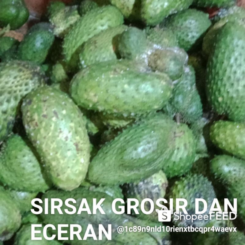 

BUAH SIRSAK SEGER DAN GROSIR