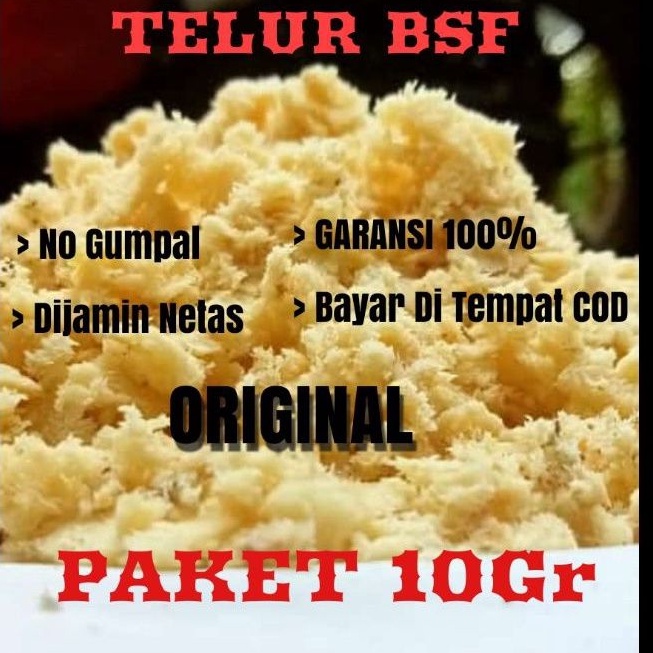 telur bsf/ telur lalat maggot bsf paket 10gr