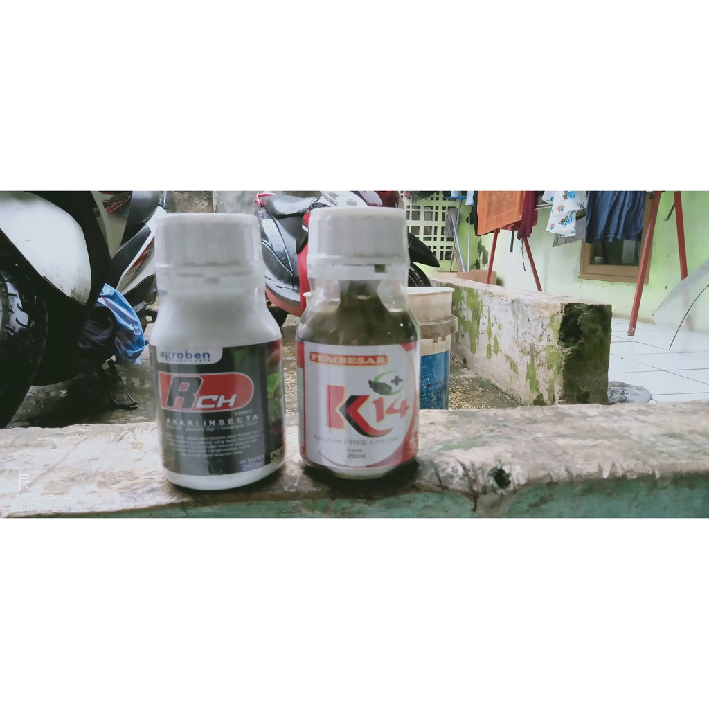 Paket G14 (250 Ml) Penyubur Tanaman + RCH (250 Ml) Pembasmi Hama & Kutu - Agroben Indonesia