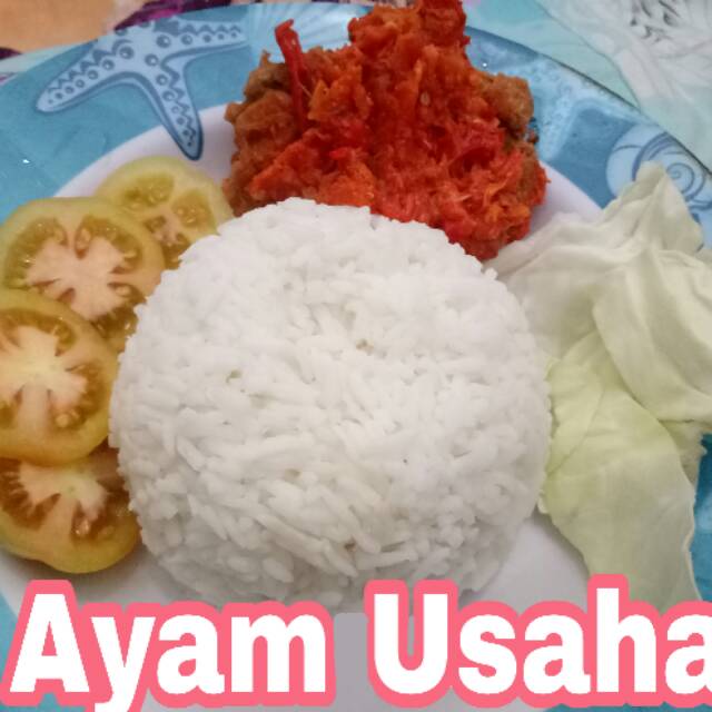 

Ayam Usaha