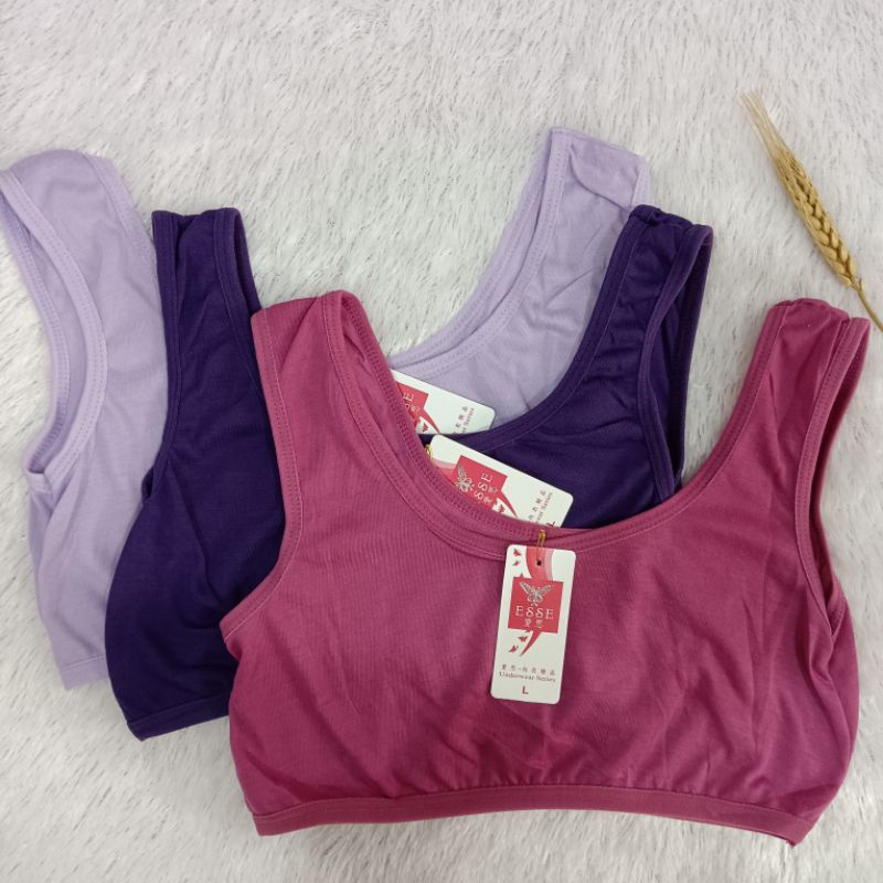 (3pcs) Miniset Anak SD SMP | bh anak belajar mengenal bh