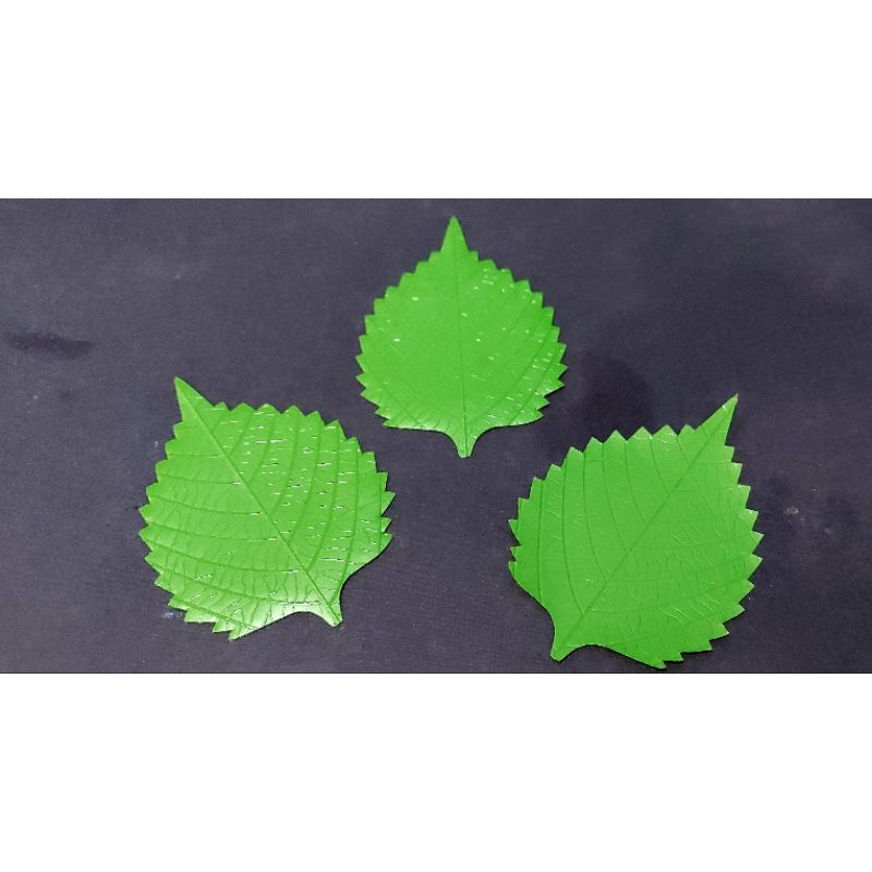 

baran daun untuk bento