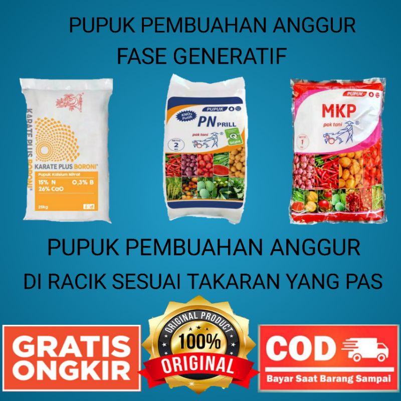 Pupuk Anggur Perangsang Pembungaan Dan Pembuahan Anggur 1 pcs