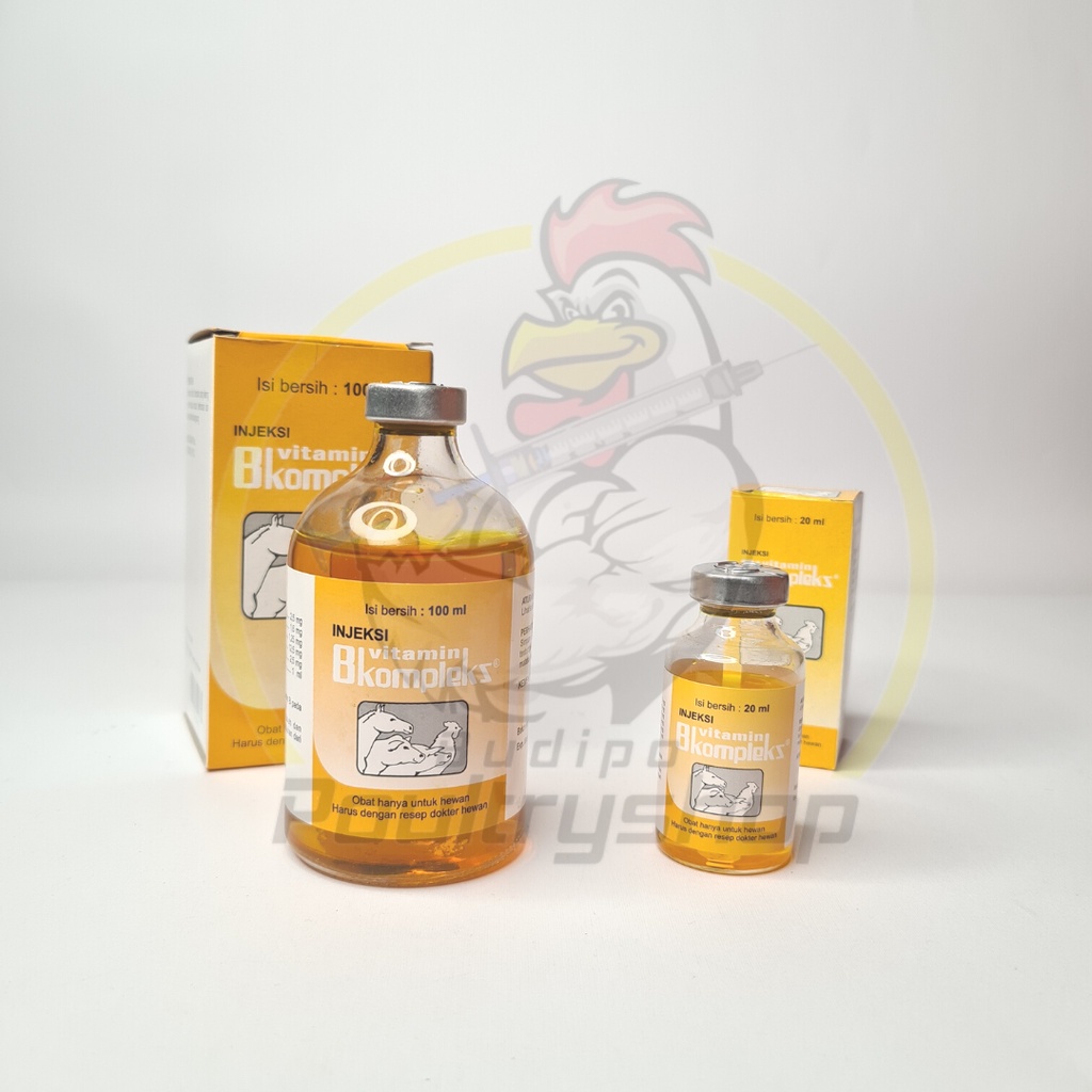 INJEKSI VITAMIN B-KOMPLEKS