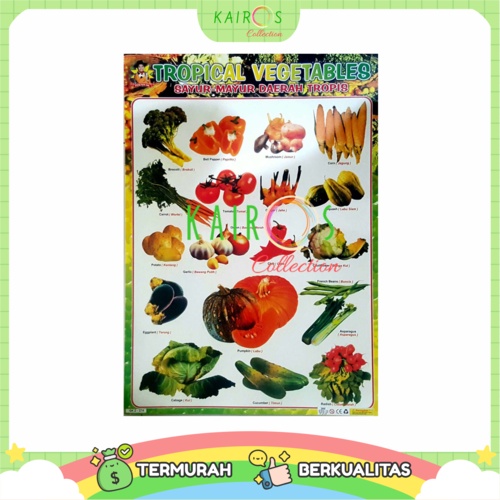 Poster Edukasi Anak Belajar Sayuran Vegetables