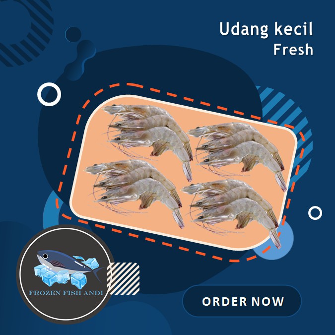 

Udang kecil vanami segar