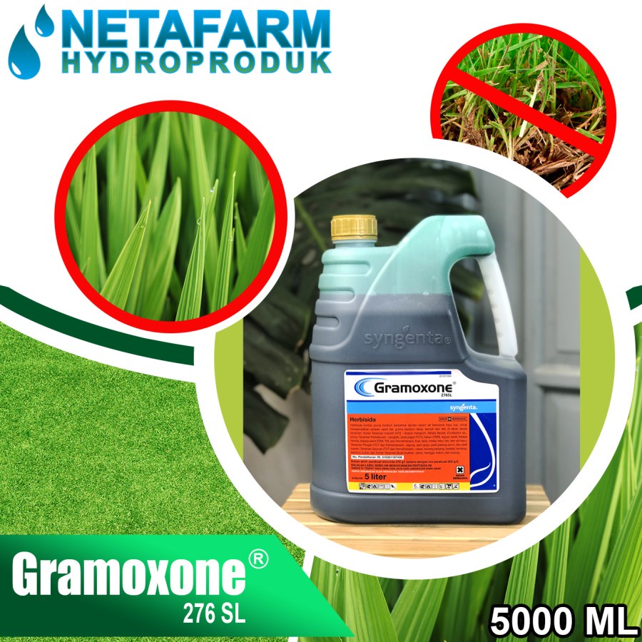 Herbisida GRAMOXONE 276SL Pembasmi Rumput Liar Gulma Ilalang - 5000ml