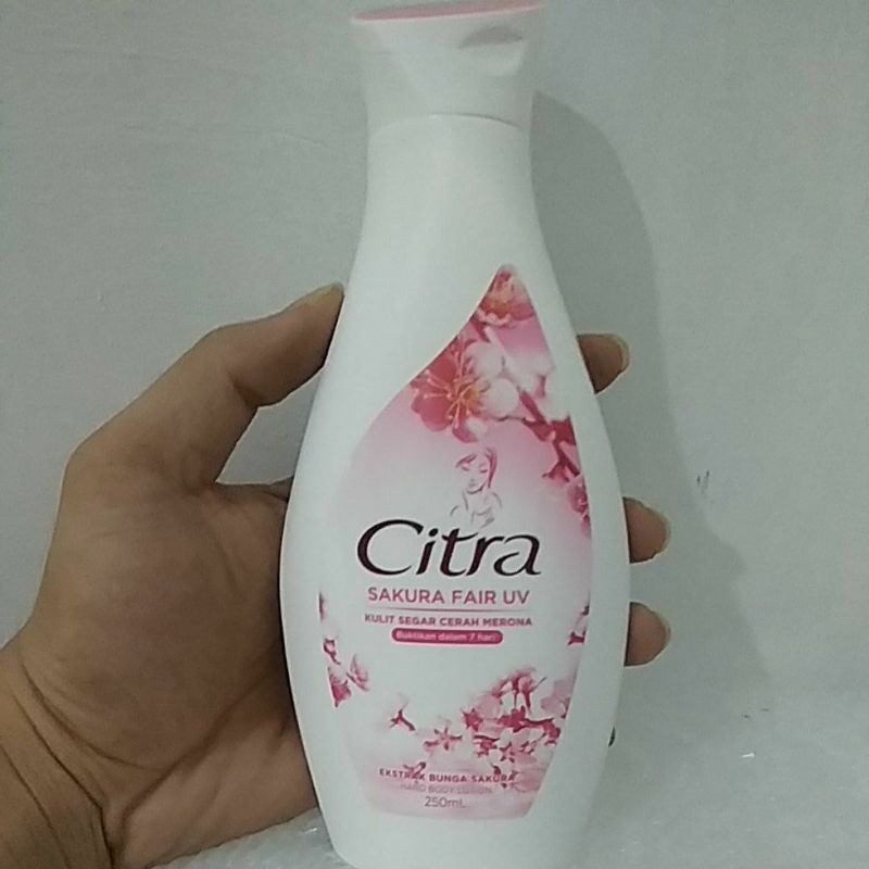 [Original] Citra Hand and Body Lotion Sakura Fair UV 250 ml