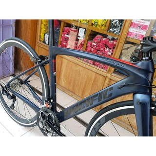  TERMURAH  ROADBIKE PACIFIC PRIMUM 5 0 CARBON  SHIMANO 105 