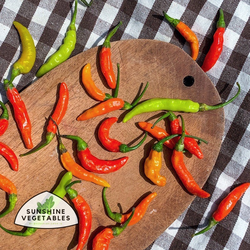 

CABE RAWIT / CENGEK SEGAR by Sunshine Vegetables