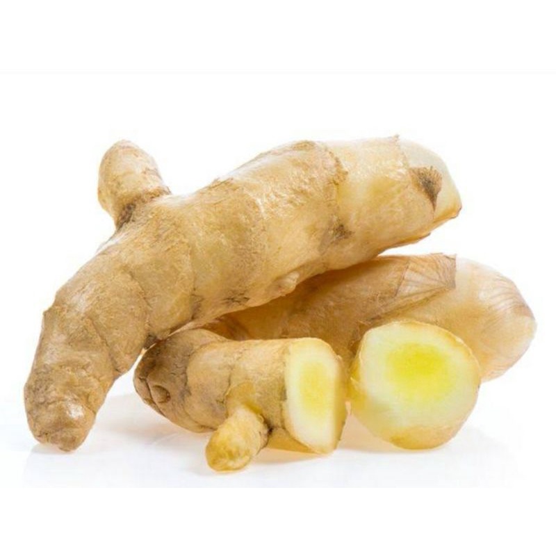 

PROMO Temu putih srgar ASLI frseh 1KG