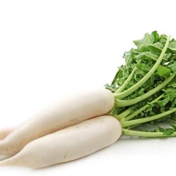 

RB LOBAK PUTIH / WHITE RADISH / DAIKON/ AIKON BAHAN KIMCHI KOREA Per 1 Kg SAYURAN SEGAR