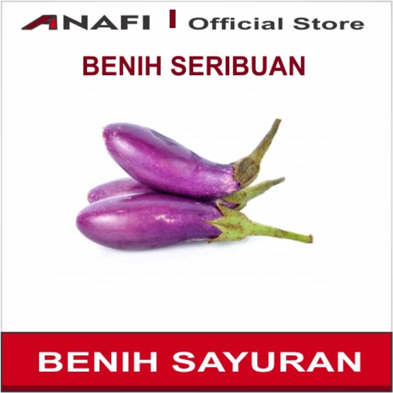 BENIH SAYURAN LENGKAP / BIBIT SAYURAN SERIBUAN / BIBIT SAYURAN HIDROPONIK / BIBIT SAYUR