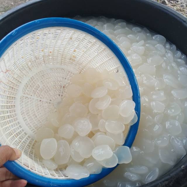 

Kolang Kaling Medan super / buah anggur