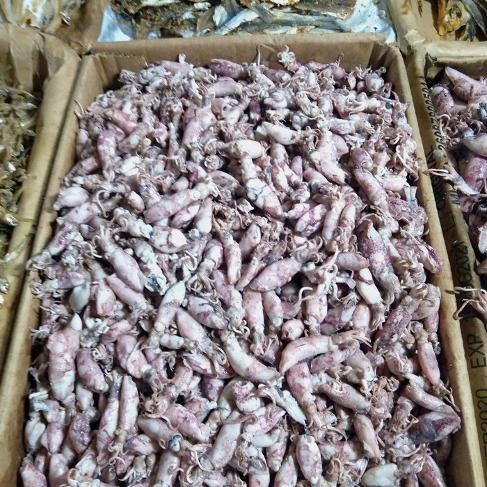 

ikan asin kecil 1kg(1000 gram)