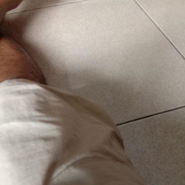 Benih Padi Pim Bibit Unggul