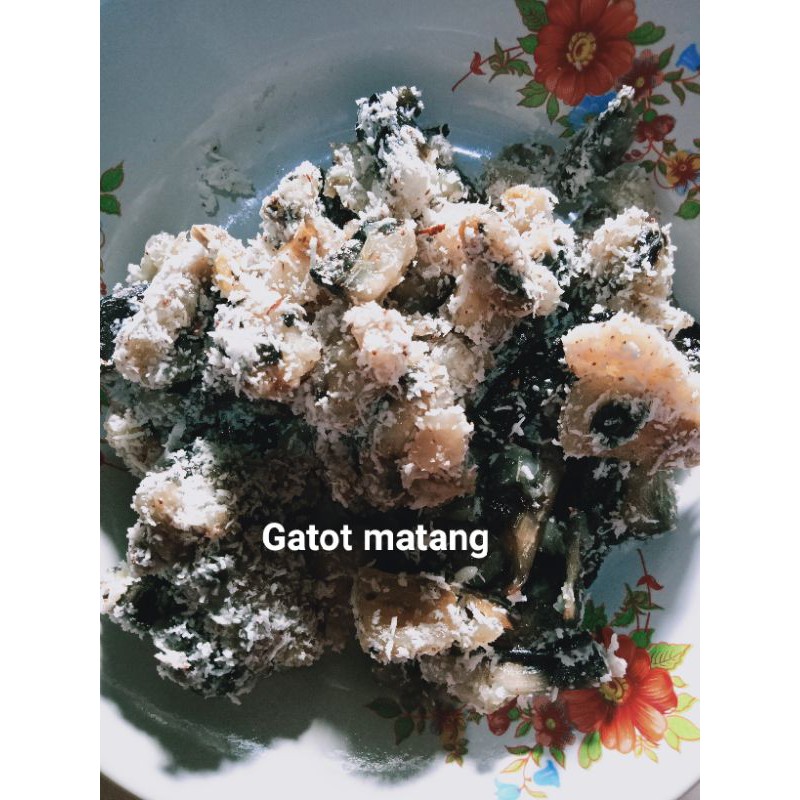 Gatot instant / Gatot pohong / Gatot ketela / Gatot nggunung/ oyek 1 kg