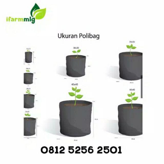 Polybag 20 X 20cm, Isi 20 Lembar