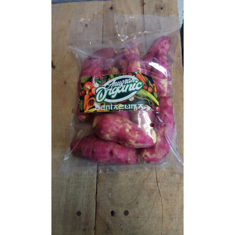 

ubi jepang organic beniazuma