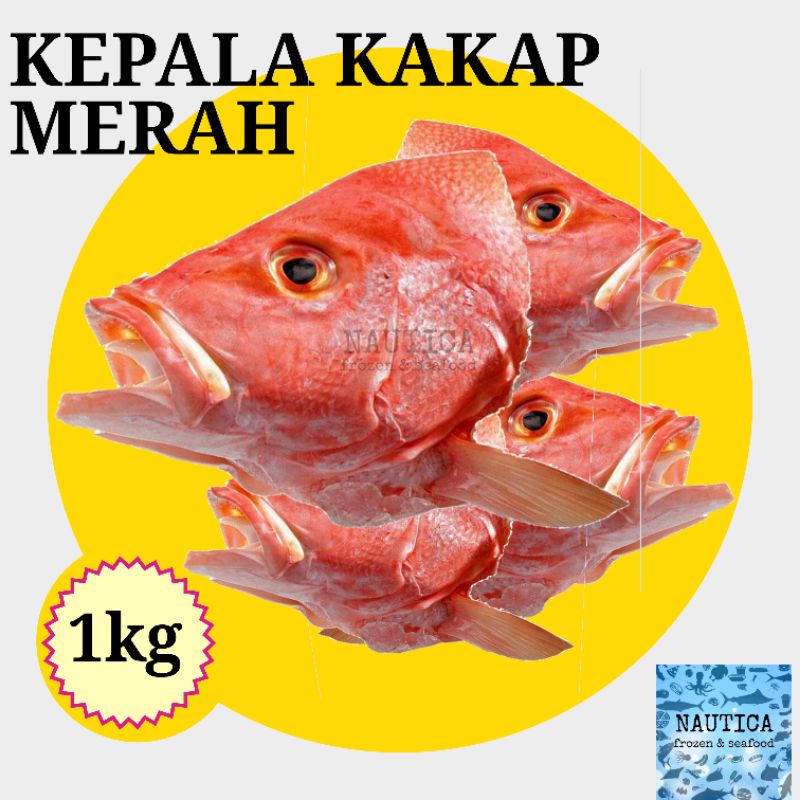 

KEPALA KAKAP MERAH