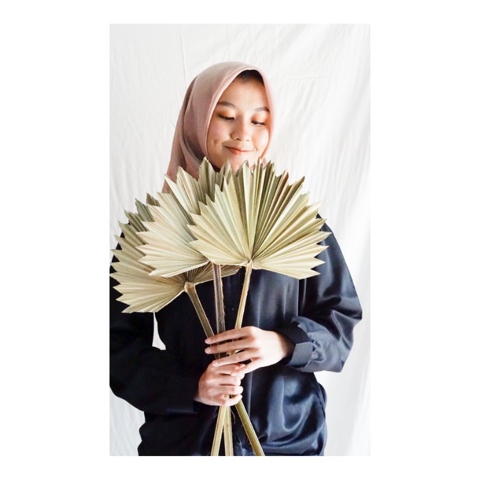 Daun Palem Bintang Daun Palem Mini Kering  Dekorasi Daun Palm Palem kering Palem