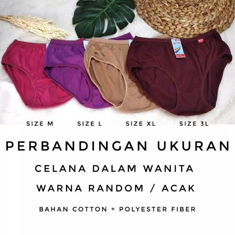 CELANA DALAM WANITA LUSINAN / CELANA DALAM WANITA LUSINAN MURAH / PAKET HEMAT 1 LUSIN CD WANITA BAIYUN-1