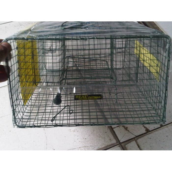 perangkap tikus massal