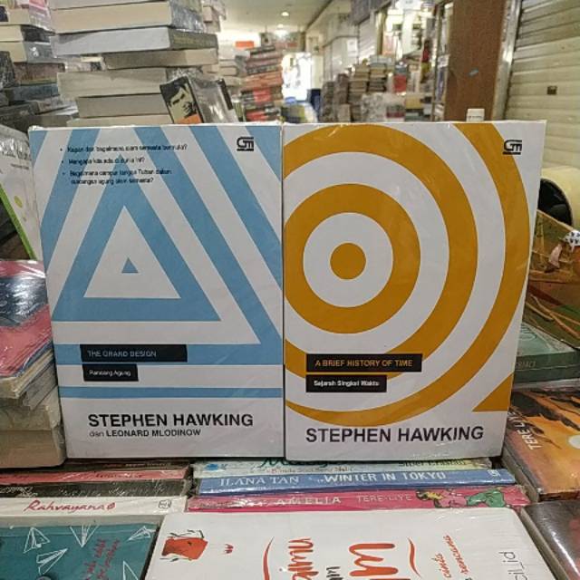 Stephen Hawking the grand design dan a brief history of