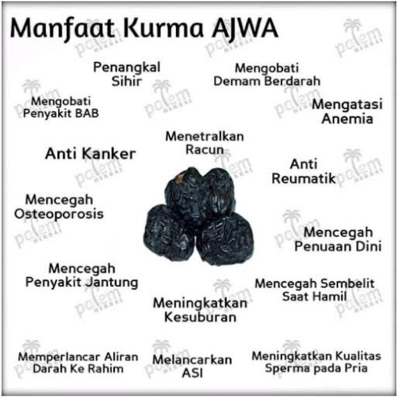 

Kurma Ajwa - Kurma Nabi