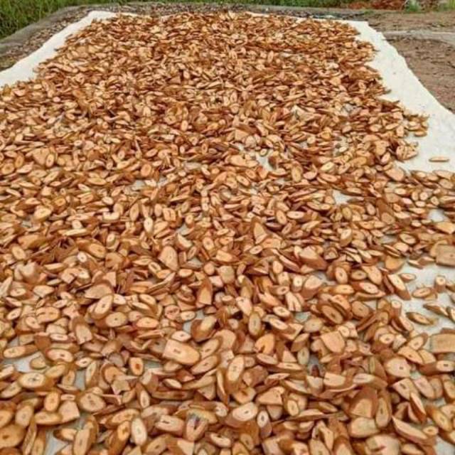 

Bajakah merah/bajakah kelelawit 1kg