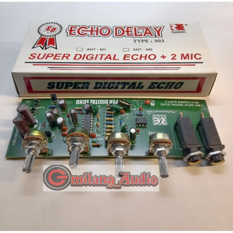 KIT ECHO DELAY 2MIC