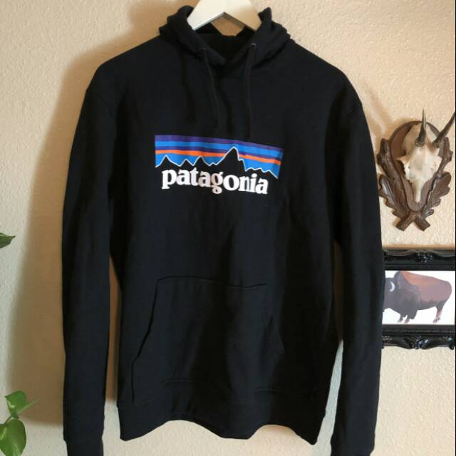 Hoodie patagonia