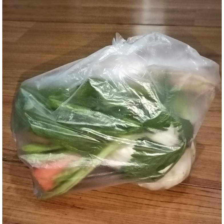 

Sayur Sop