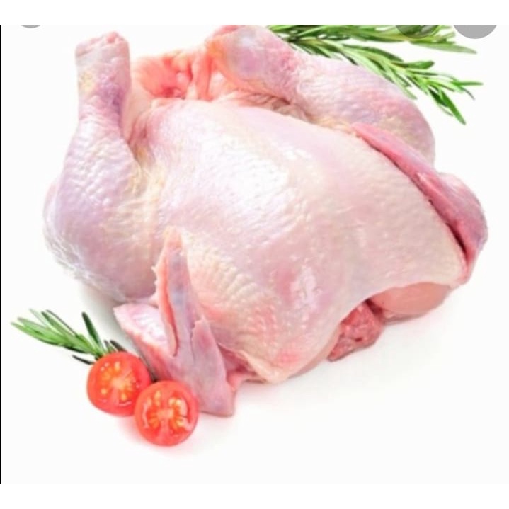 

Ayam Broiler 0.9 - 1kg