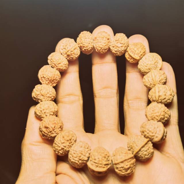 Rudraksha jenitri ganesha